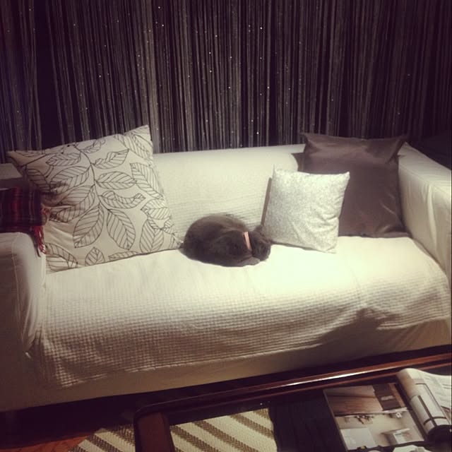 matiさんの実例写真