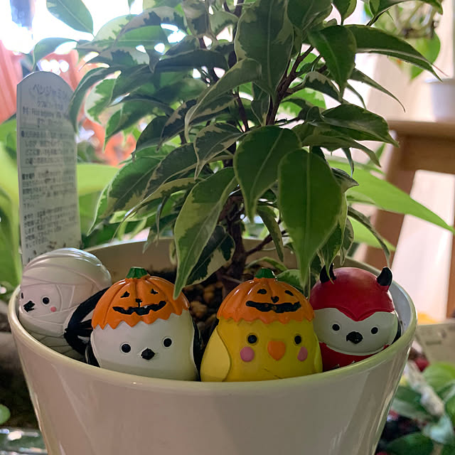 Aqettyさんの部屋