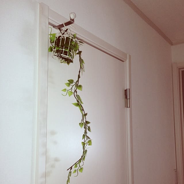chihoさんの実例写真