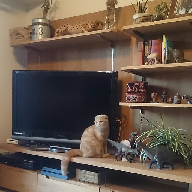 MarshmallowMuffinさんの実例写真