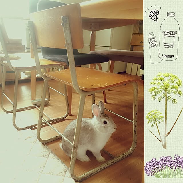 mizutamaさんの実例写真