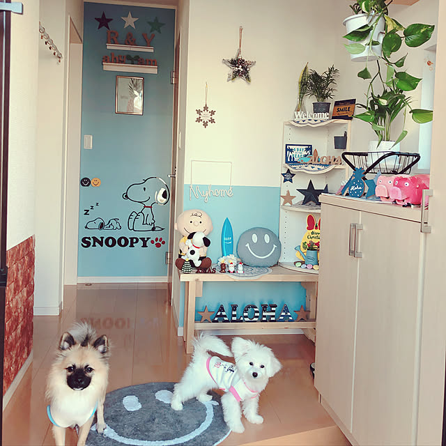 実例写真