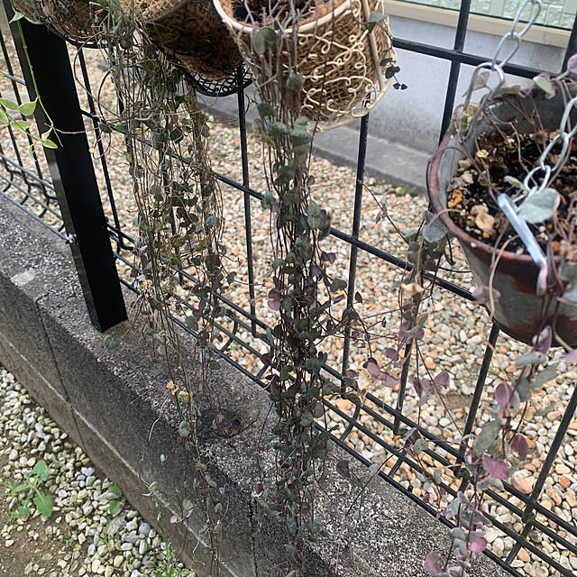 Fumiさんの部屋