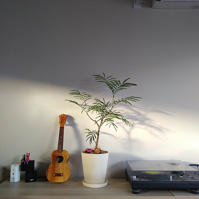 masaさんの実例写真