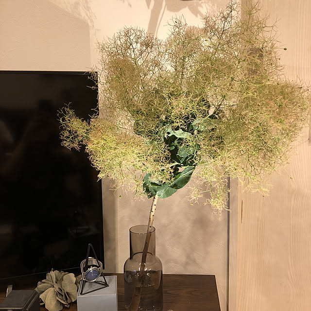 t.k.mさんの実例写真