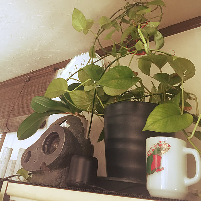 AOIさんの実例写真