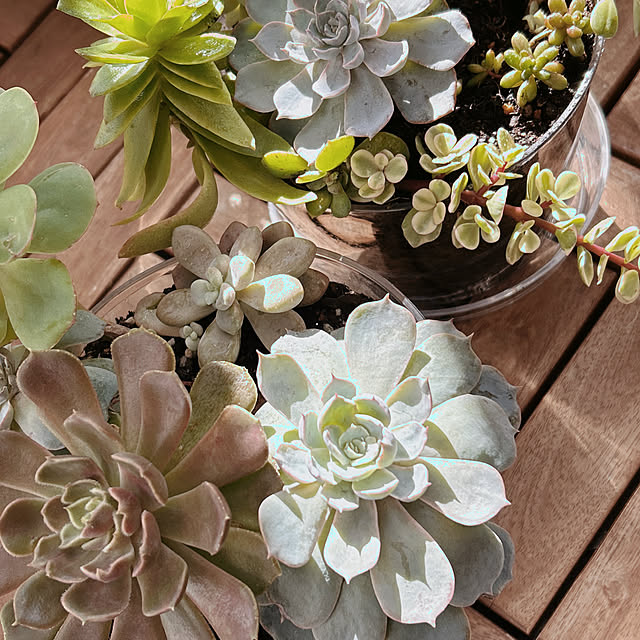 ruuuさんの実例写真