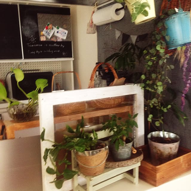 実例写真