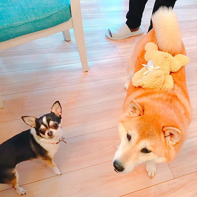 miiさんの実例写真