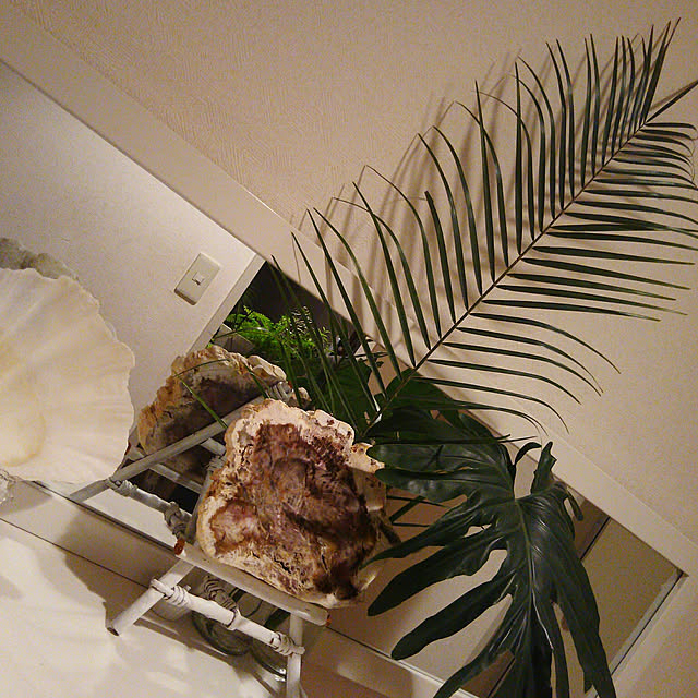 ami.majoさんの実例写真