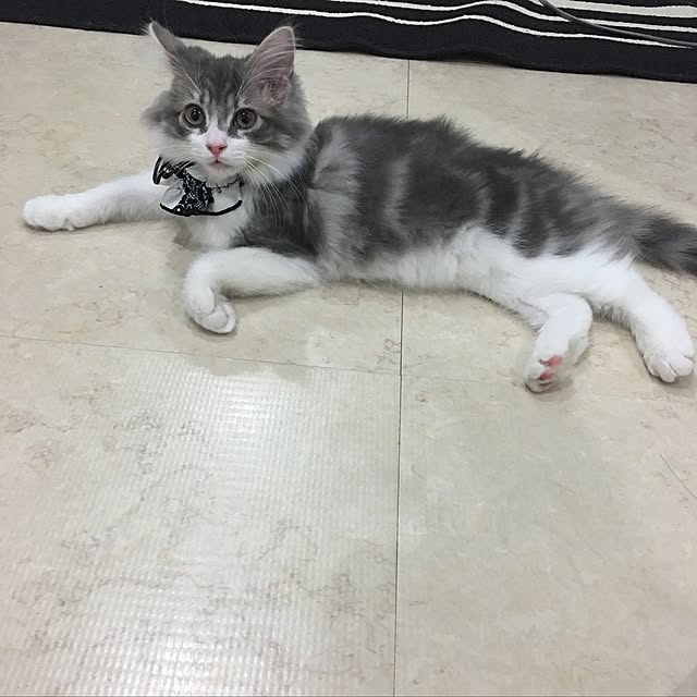 Namiさんの実例写真
