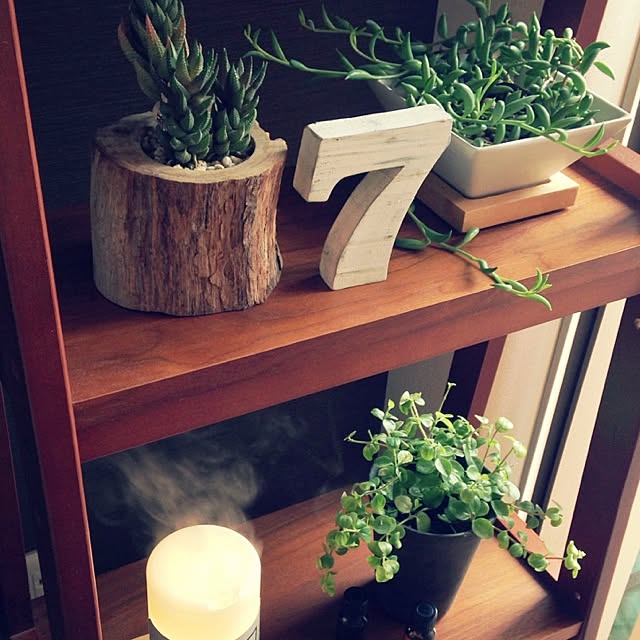 棚/アロマディフューザー/観葉植物/多肉植物/無印良品...などのインテリア実例 - 2015-04-13 06:46:52