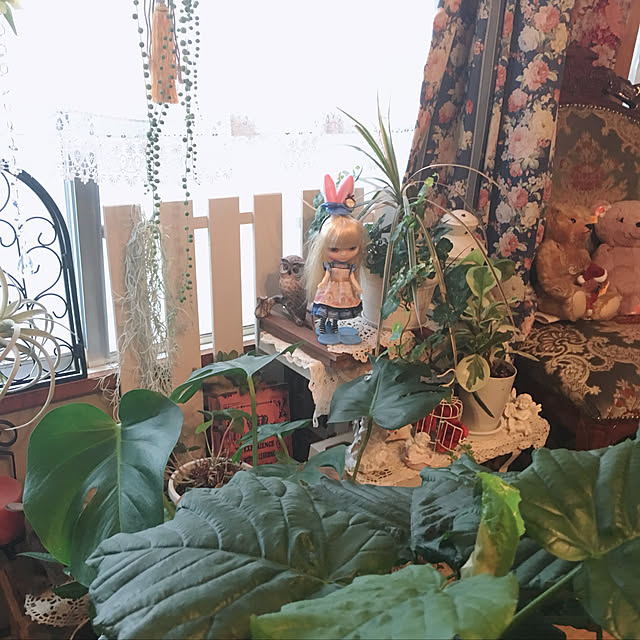 teddybearさんの実例写真