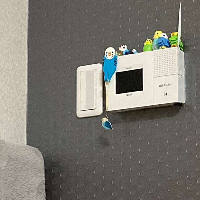toratanさんの実例写真