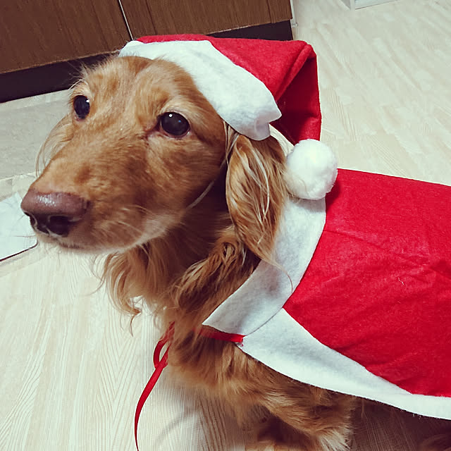 tora.maさんの実例写真