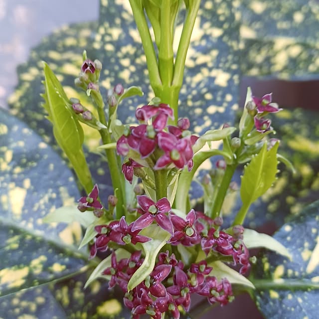 hiro.904さんの部屋