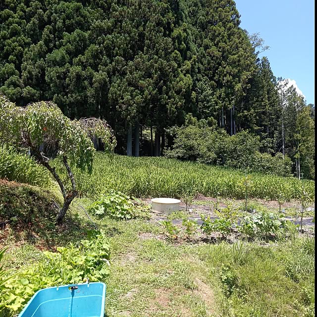 civicglさんの部屋