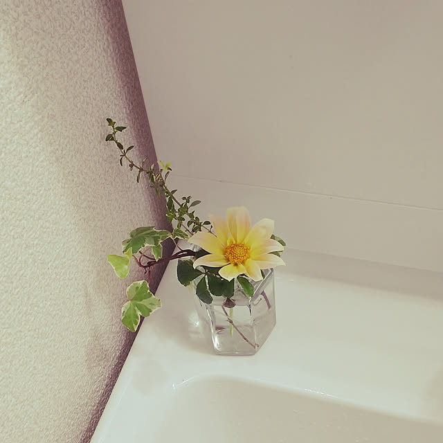 katuさんの実例写真