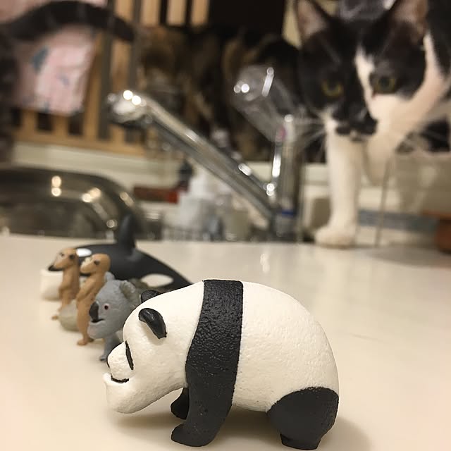 mikomaruさんの実例写真