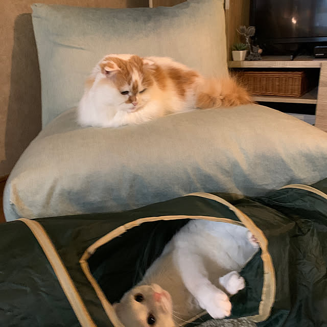 keiさんの部屋