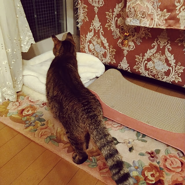 lilyさんの実例写真