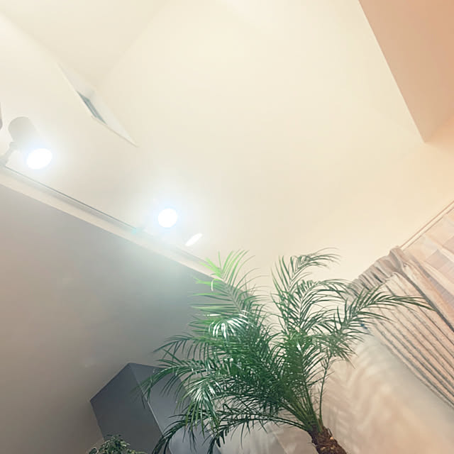 goriさんの実例写真