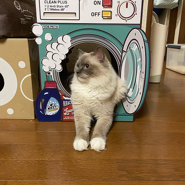 mimimamaさんの実例写真