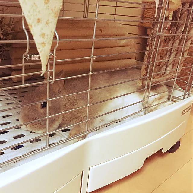 ayumiさんの実例写真