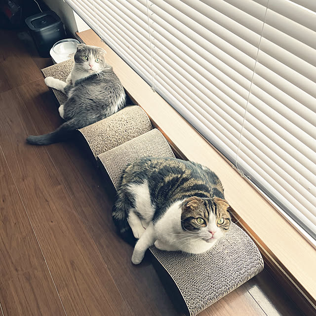 tansukeさんの実例写真