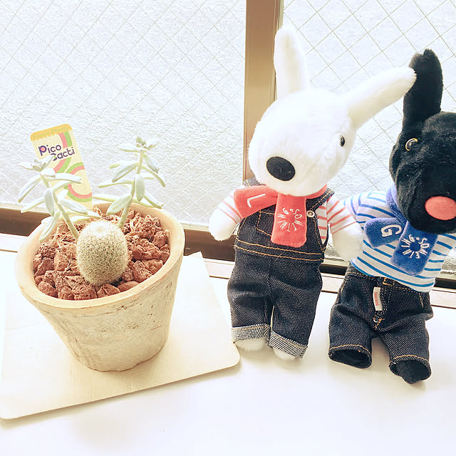 wakameosenbeさんの実例写真