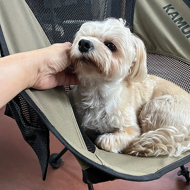 seiさんの実例写真