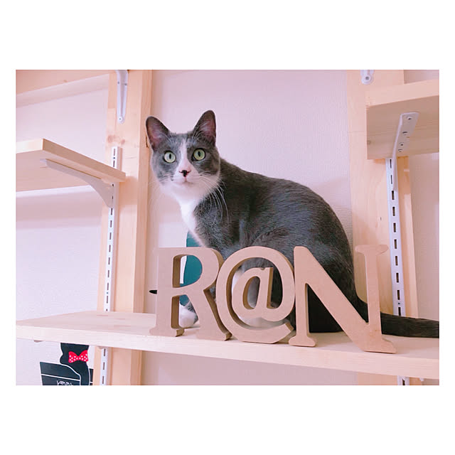 kekeさんの実例写真