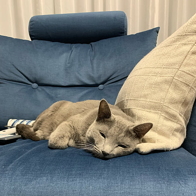 sayuuuさんの実例写真