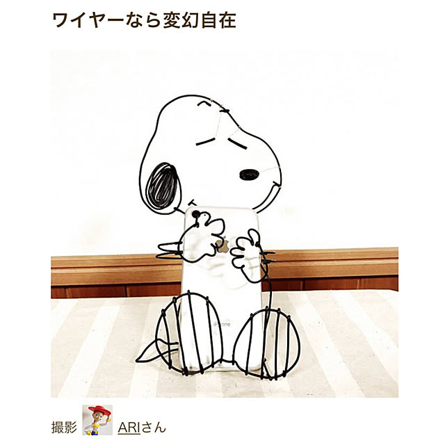 ARIさんの実例写真