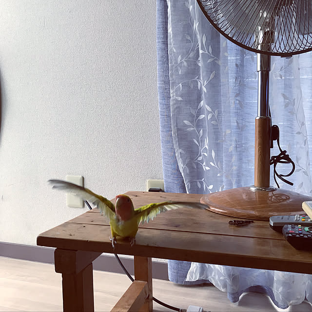 keinagen91さんの実例写真