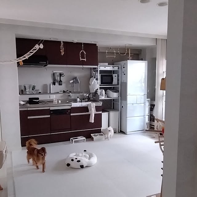toratanさんの実例写真