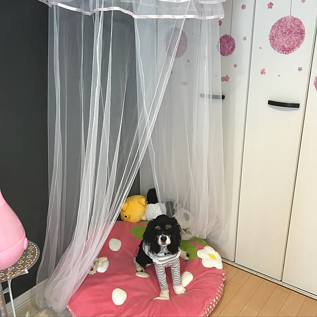 secret87121さんの実例写真