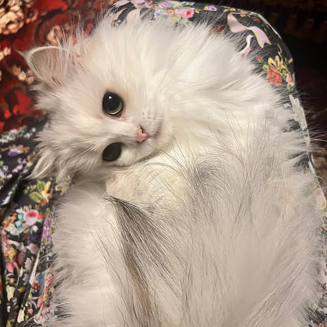 AYUKOさんの実例写真