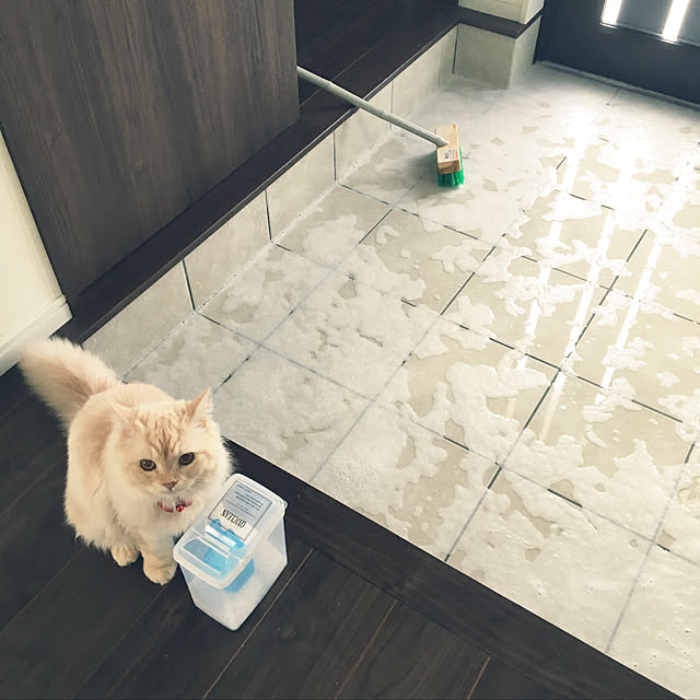 takiさんの実例写真