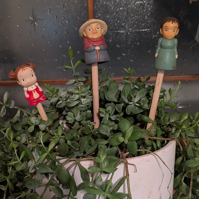 monnさんの実例写真