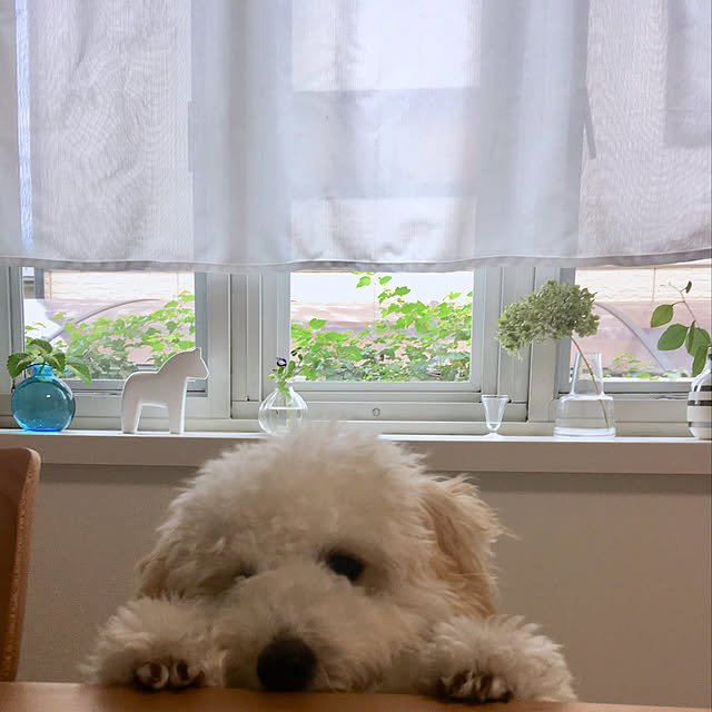 meruさんの実例写真