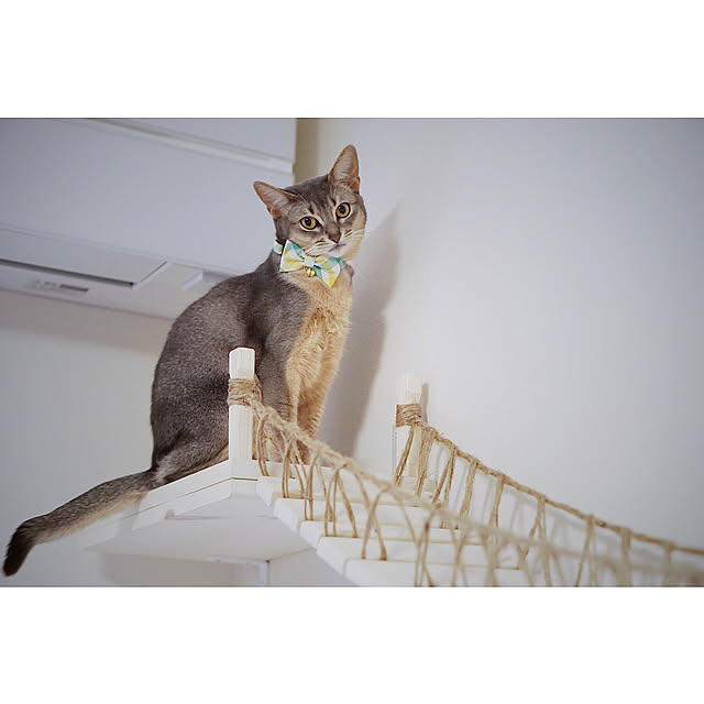 Maeさんの実例写真