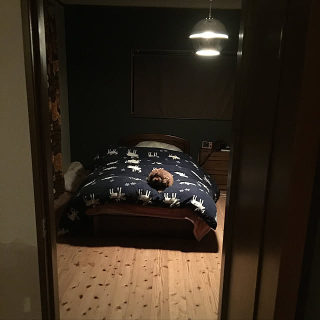 kiyohisaさんの実例写真