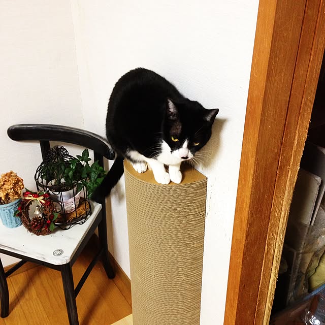 Kinanさんの実例写真