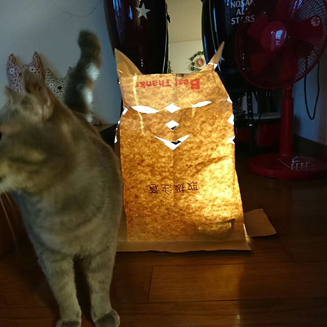uchizukonyanさんの実例写真