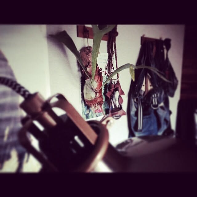 aknb08さんの実例写真