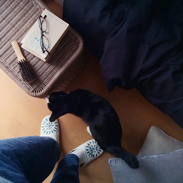 uniさんの実例写真