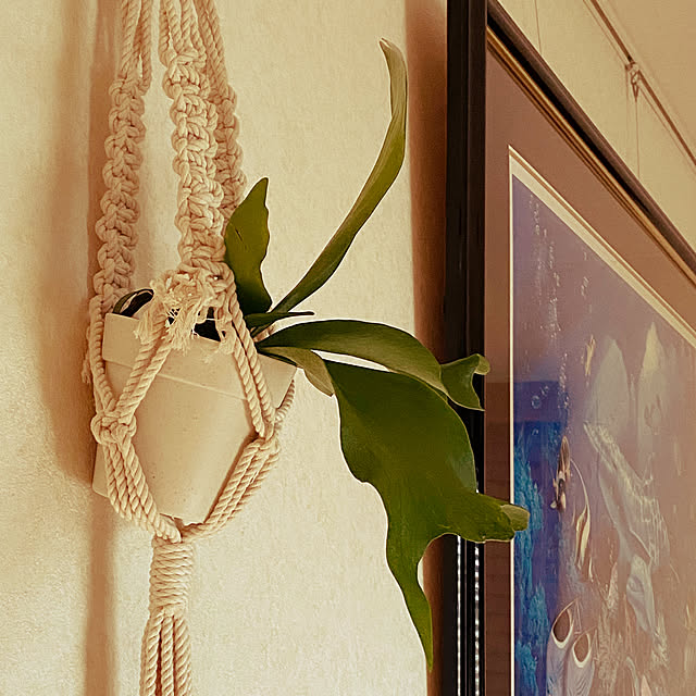kaorinさんの実例写真