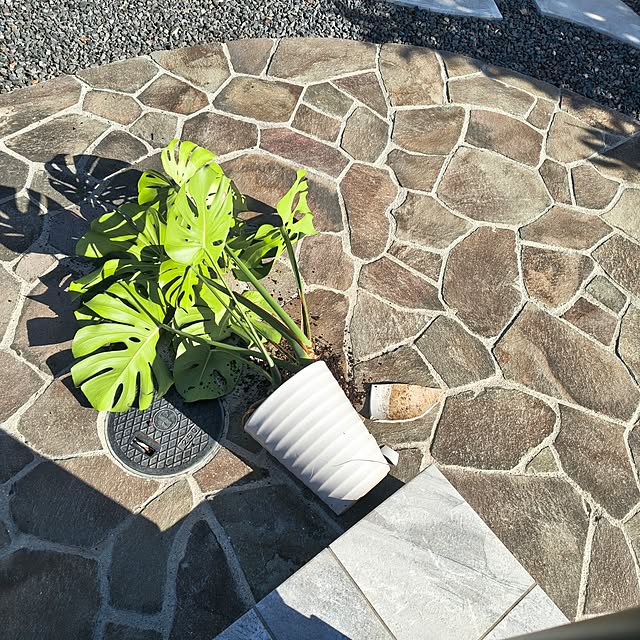 Rubiconさんの実例写真