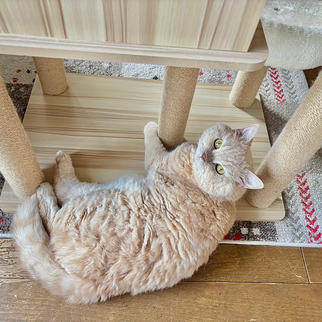 naokoさんの部屋